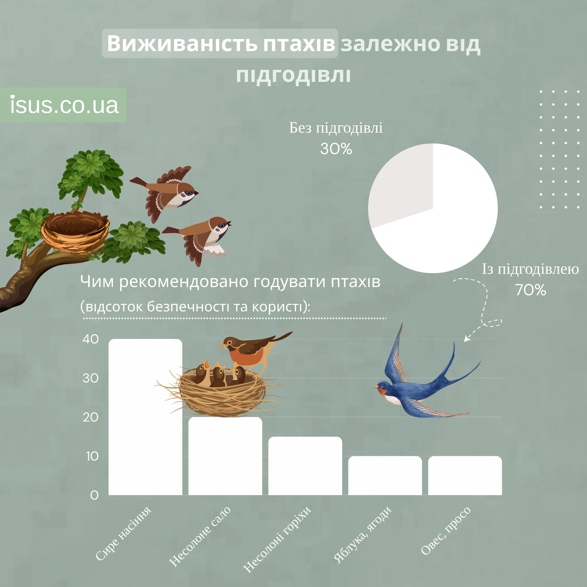 vyzhyvanist ptakhiv555 result